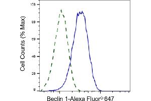 Validation of Beclin 1 knockdown using flow cytometry. (Recombinant Beclin 1 anticorps)