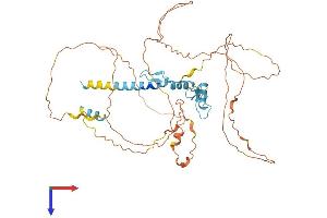 AlphaFold protein structure predicition of Mouse Recombinant Egr4 Protein, UniprotID Q9WUF2