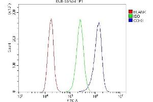 Flow Cytometry analysis of A431 cells using anti-P cadherin/CDH3 antibody (ABIN6719500).