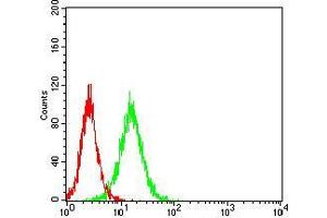 Flow cytometric analysis of Hela cells using VTN mouse mAb (green) and negative control (red).