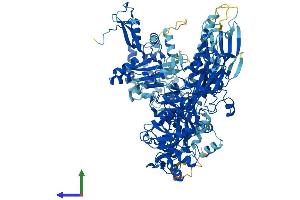 AlphaFold protein structure predicition of Human Recombinant POLR3B Protein, UniprotID Q9NW08