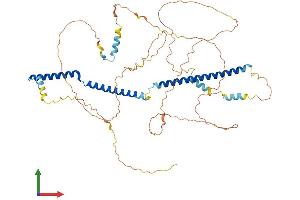 AlphaFold protein structure predicition of Human Recombinant TSGA10IP Protein, UniprotID Q3SY00