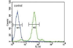 Flow Cytometry (FACS) image for anti-Folate Receptor 1 (Adult) (FOLR1) antibody (ABIN2995785) (FOLR1 anticorps)