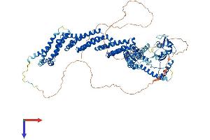 AlphaFold protein structure predicition of Human Recombinant CUL4B Protein, UniprotID Q13620