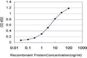 Detection limit for recombinant GST tagged RCV1 is approximately 0. (Recoverin anticorps  (AA 101-199))