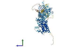 AlphaFold protein structure predicition of Human Recombinant DSTYK Protein, UniprotID Q6XUX3
