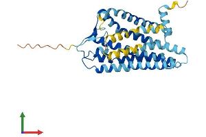 AlphaFold protein structure predicition of Human Recombinant OR56B4 Protein, UniprotID Q8NH76