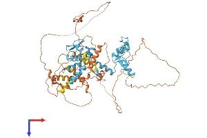 AlphaFold protein structure predicition of Human Recombinant ZBTB7A Protein, UniprotID O95365