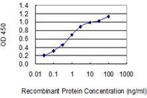 Detection limit for recombinant GST tagged ARHGEF18 is 0.