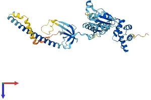 AlphaFold protein structure predicition of Mouse Recombinant Psmc3 Protein, UniprotID O88685