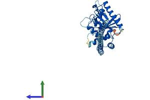 AlphaFold protein structure predicition of Mouse Recombinant Gimap5 Protein, UniprotID Q8BWF2