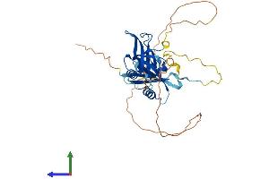 AlphaFold protein structure predicition of Mouse Recombinant Pard6b Protein, UniprotID Q9JK83