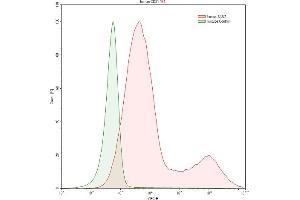 Detection of CD21 in Raji human Burkitt's lymphoma cell line using Anti-Complement Receptor 2 (CD21) Polyclonal Antibody