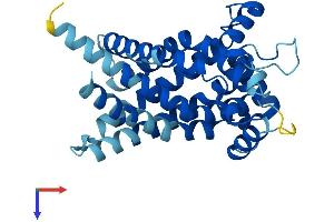 AlphaFold protein structure predicition of Mouse Recombinant Slc25a21 Protein, UniprotID Q8BZ09