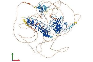AlphaFold protein structure predicition of Human Recombinant EHMT1 Protein, UniprotID Q9H9B1