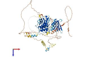 AlphaFold protein structure predicition of Human Recombinant EPB41L4A Protein, UniprotID Q9HCS5