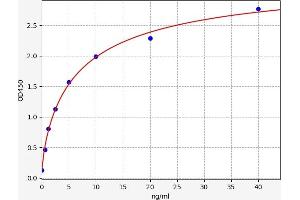 Typical standard curve (SBDP 145 Kit ELISA)