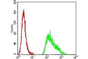 Flow cytometric analysis of Hela cells using TET2 mouse mAb (green) and negative control (red).