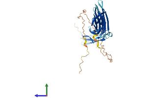 AlphaFold protein structure predicition of Human Recombinant TXNIP Protein, UniprotID Q9H3M7