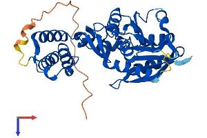 AlphaFold protein structure predicition of Mouse Recombinant Hemk1 Protein, UniprotID Q921L7