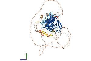 AlphaFold protein structure predicition of Mouse Recombinant Rap1gap2 Protein, UniprotID Q5SVL6