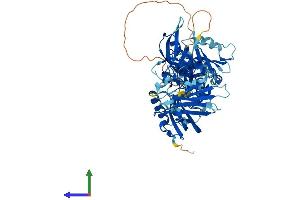 AlphaFold protein structure predicition of Mouse Recombinant Pot1 Protein, UniprotID Q91WC1