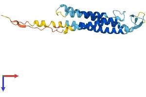 AlphaFold protein structure predicition of Mouse Recombinant Sspn Protein, UniprotID Q62147