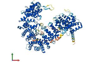 AlphaFold protein structure predicition of Mouse Recombinant Ipo8 Protein, UniprotID Q7TMY7
