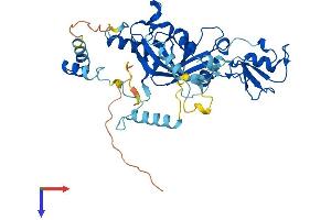 AlphaFold protein structure predicition of Mouse Recombinant Snapc3 Protein, UniprotID Q9D2C9