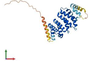 AlphaFold protein structure predicition of Human Recombinant MRO Protein, UniprotID Q9BYG7