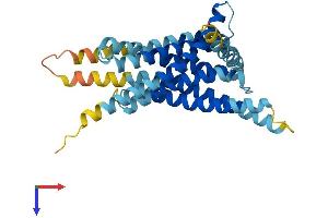 AlphaFold protein structure predicition of Human Recombinant TAS2R40 Protein, UniprotID P59535