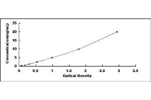 Typical standard curve (CBP Kit ELISA)
