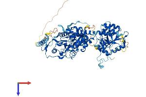 AlphaFold protein structure predicition of Human Recombinant EXT2 Protein, UniprotID Q93063