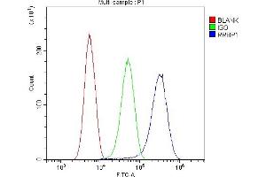 Flow Cytometry analysis of SIHA cells using anti-RRBP1 antibody (ABIN6719628).