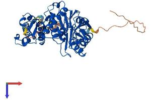 AlphaFold protein structure predicition of Mouse Recombinant Ppm1f Protein, UniprotID Q8CGA0