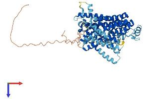 AlphaFold protein structure predicition of Human Recombinant SLC11A2 Protein, UniprotID P49281
