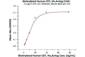 Immobilized Anti-CD7 antibody, Mouse IgG1 at 1 μg/mL (100 μL/well) can bind Biotinylated Human CD7, His,Avitag (ABIN6973016) with a linear range of 1-20 ng/mL (Routinely tested).