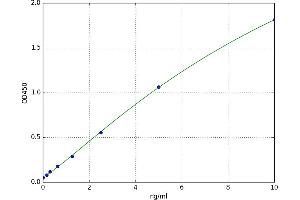Cyclin-Dependent Kinase 1 (CDK1) ELISA Kit