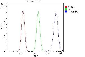Flow Cytometry analysis of A549 cells using anti- KAP1/TRIM28 antibody (ABIN7602310). (KAP1 anticorps  (AA 699-835))