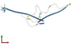 AlphaFold protein structure predicition of Human Recombinant TRAIP Protein, UniprotID Q9BWF2