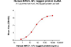 ELISA plate pre-coated by 2 μg/mL (100 μL/well) Human , His tagged protein ABIN6961140, ABIN7042309 and ABIN7042310 can bind Human , hFc tagged protein (ABIN6964402, ABIN7042501 and ABIN7042502) in a linear range of 3.