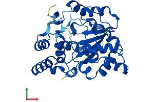 AlphaFold protein structure predicition of Human Recombinant SULT2A1 Protein, UniprotID Q06520
