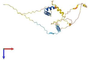 AlphaFold protein structure predicition of Human Recombinant FRAT2 Protein, UniprotID O75474