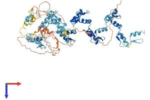 AlphaFold protein structure predicition of Human Recombinant ZNF132 Protein, UniprotID P52740