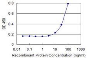 Detection limit for recombinant GST tagged SIN3B is 3 ng/ml as a capture antibody. (SIN3B anticorps  (AA 1063-1160))