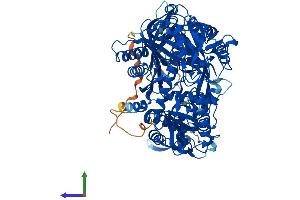 AlphaFold protein structure predicition of Human Recombinant AGO2 Protein, UniprotID Q9UKV8