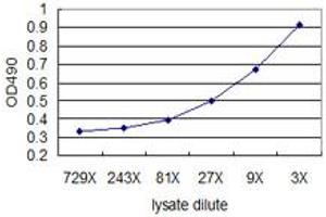 Standard curve using 293T overexpression lysate (non-denatured) as an analyte. (KIT (Humain) Matched Antibody Pair)