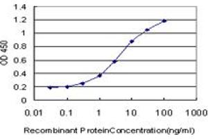 Detection limit for recombinant GST tagged ADAM11 is approximately 0.