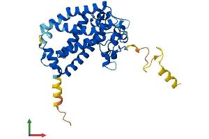 AlphaFold protein structure predicition of Mouse Recombinant Ch25h Protein, UniprotID Q9Z0F5