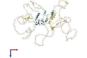 AlphaFold protein structure predicition of Human Recombinant LIMA1 Protein, UniprotID Q9UHB6